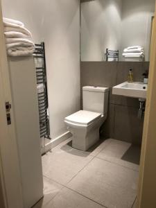 莫克姆Morecambe sea view apartment 203的浴室配有白色卫生间和盥洗盆。