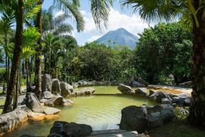 福尔图纳Arenal Paraiso Resort Spa & Thermo Mineral Hot Springs的山底下水池