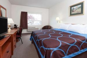 埃德蒙顿西埃德蒙顿速8酒店的配有一张床和一台平面电视的酒店客房