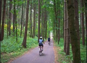 崔聂斯Chaletapartement Ambiente Villa Mozart的两个人骑着自行车沿着树林中的一条小径骑着