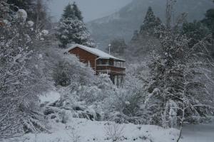 豪格斯拜克Nibelheim Self Catering Cottage的一座房子,被雪覆盖在树旁