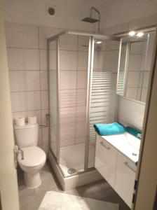 菲希特尔山区巴特贝内克Pension Hofer的带淋浴、卫生间和盥洗盆的浴室