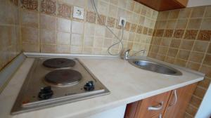 布德瓦Apartment Ruzica的厨房柜台配有炉灶和水槽