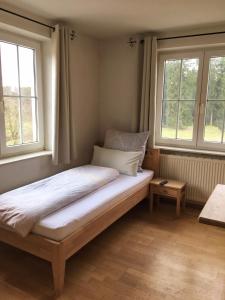 SchlierFuchsenlohe的配有2扇窗户的客房内的1张床