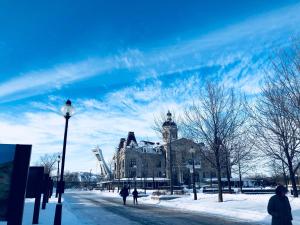 冬天的Gite du Survenant Montreal
