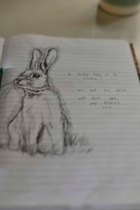 Tarxien陋居旅馆的纸上画着一只兔子