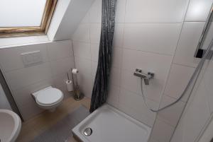 斯图加特Apartment Hedelfingen I的带淋浴和卫生间的小浴室