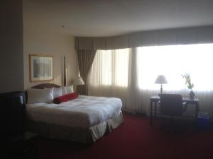 蒙特利尔蒙特利尔中心科洛姆酒店的酒店客房设有一张床和一个大窗户