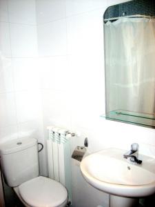 坎弗兰克埃斯塔西翁里约亚拉贡旅行者旅舍的一间带卫生间、水槽和镜子的浴室