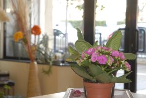 文蒂米利亚普旺萨酒店的花在桌子上的盆栽植物