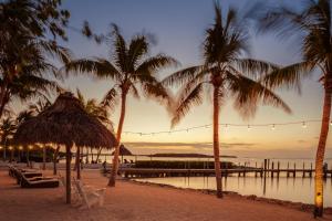 基拉戈大西洋湾度假酒店的日落时分在海滩上种植的棕榈树