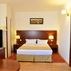 拉姆尼库沃尔恰米拉吉酒店的酒店客房设有一张大床和两盏灯