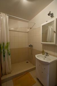 德鲁斯基宁凯Svečiuose pas Aldoną的浴室配有盥洗盆和带镜子的淋浴