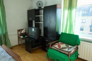 德鲁斯基宁凯Svečiuose pas Aldoną的客厅配有绿色椅子和电视