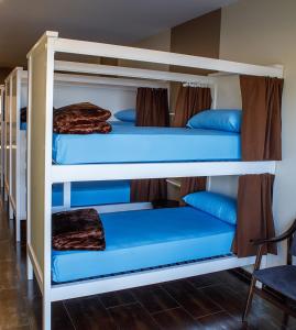 穆希亚Muxia Mare的配有蓝色枕头的客房内的两张双层床