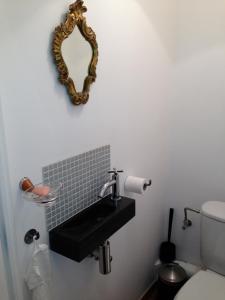 沙勒罗瓦莱斯杜德沙勒罗瓦乡间渡假别墅的浴室设有水槽和墙上的镜子