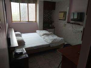 加尔各答Service Apartments, Park Street, Calcutta的一间小卧室,配有一张床和电视