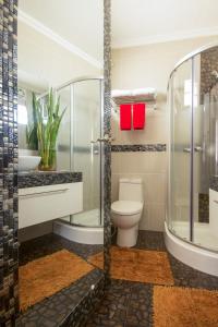 圣维森特Foxy's Beach Resort的一间带卫生间和玻璃淋浴间的浴室