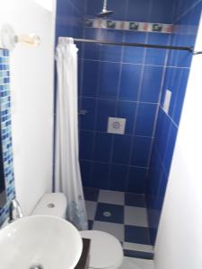 普罗维登西亚Posada Ocean View的蓝色的浴室设有卫生间和淋浴。