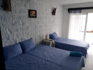 普罗维登西亚Posada Ocean View的一间卧室设有两张带蓝色床单的床和窗户。