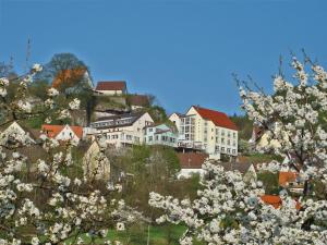 施奈塔赫伊格沃特伯格霍夫酒店的山丘上一排种满花卉的房屋