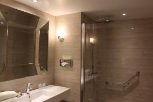 伊泰尔斯维莱阿诺德酒店的一间带水槽和淋浴的浴室