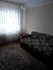 基辅Comfortable flat near the Dnieper river in Kyiv的带沙发和窗户的客厅