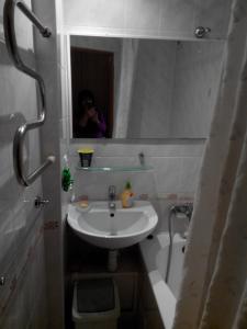 基辅Comfortable flat near the Dnieper river in Kyiv的一位女性拍着带水槽的浴室的照片