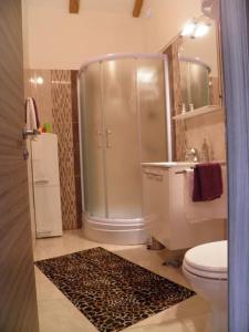 科洛塞普Romantic apartment的带淋浴、卫生间和盥洗盆的浴室
