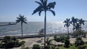 格拉纳达艾马耳他酒店的享有棕榈树海滩和大海的美景