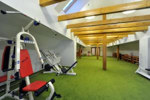 Penzion Andula Friesovy boudy的健身中心和/或健身设施