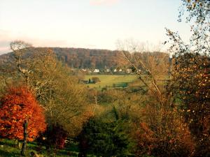 佩恩斯威克Tibbiwell Lodge的背景中树木的田野景色