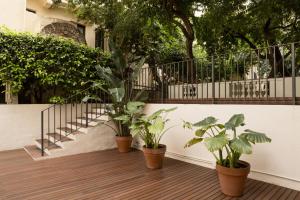 巴塞罗那佩蒂特宫波盖利亚花园酒店的拥有三株盆栽植物和楼梯的门廊