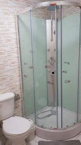 Río BuenoCabañas Rayen的浴室设有玻璃淋浴间和卫生间