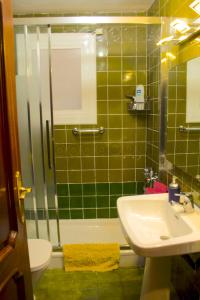 卡内·德·玛尔Artistic apartment with panoramic views的绿色瓷砖浴室设有水槽和淋浴