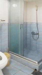 索科矿泉村Apartments Petkovic的带淋浴和卫生间的浴室
