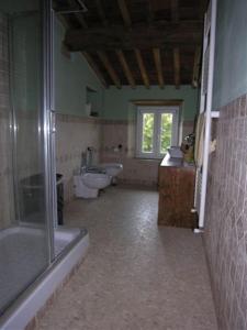 马萨罗萨La Coccinella di Silvia e Simone的带淋浴、卫生间和盥洗盆的浴室