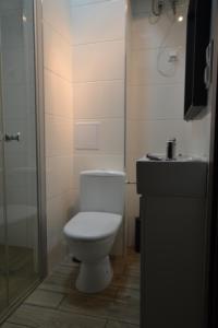 莱格尼察SleepWell Apartments的浴室配有卫生间、盥洗盆和淋浴。