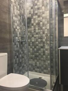 里斯本New Luxury Apartment - Lisbon Center的带淋浴、卫生间和盥洗盆的浴室