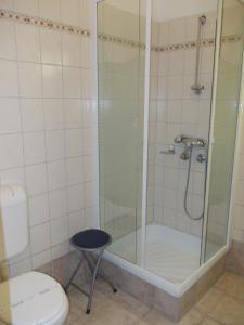 凯斯特海伊偶维特酒店的带淋浴、卫生间和凳子的浴室