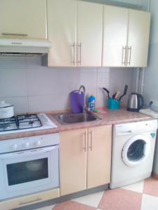 基辅Homelike flat near the IEC on Levoberezhnaya的厨房配有水槽和洗衣机