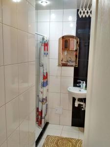 利沃夫Apartment on Virmens'ka Street的带淋浴和盥洗盆的浴室