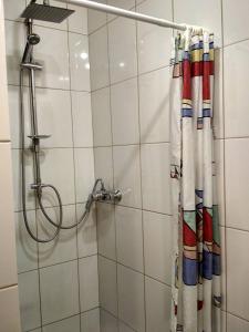 利沃夫Apartment on Virmens'ka Street的浴室内配有淋浴帘。