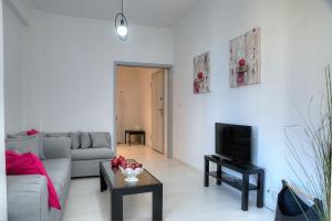 雅典Cosy apartment in Glyfada center的带沙发和电视的客厅