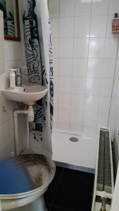 科莱恩斯普拉特Corona Laboris的浴室配有卫生间、盥洗盆和淋浴。