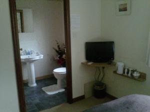 葛特纳格林查理王子小屋酒店的一间带水槽、电视和卫生间的浴室