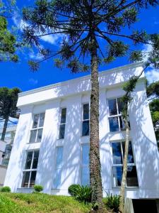 圣弗朗西斯科-迪保拉Piavi Residencial的前面有树木的白色房子
