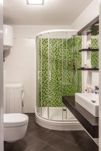 科佩尔Razgled/The View的带淋浴、卫生间和盥洗盆的浴室