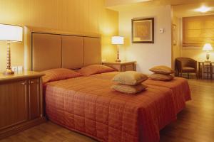 拉里萨迪瓦尼拉里萨宫殿酒店的酒店客房带一张大床,上面有枕头