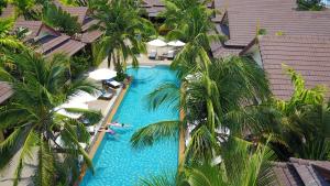 拉威海滩勒比曼度假酒店的享有棕榈树游泳池的顶部景致